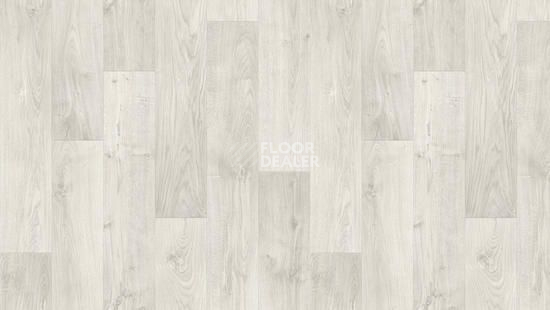 Линолеум Tarkett Discovery RIGARD 1 фото 1 | FLOORDEALER